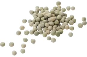 Groene erwten 500gr